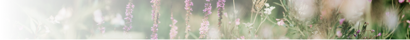 Breadcrumb Itaplantas