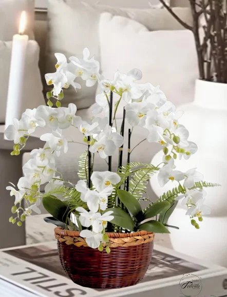 Diversas opções de flores para o Dia das Mulheres